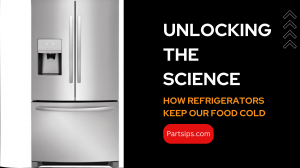 Unlocking the Science: How Refrigerators Keep Our Food Cold